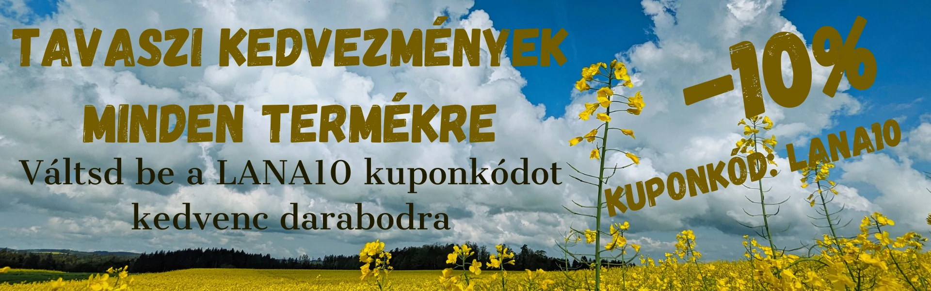 Tavaszi kedvezmények
